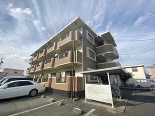 マンションやまももの木の物件外観写真